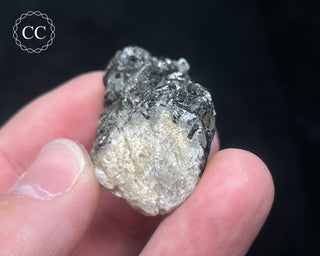 Schorl - Dravite Tourmaline in Quartz #11