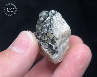 Schorl - Dravite Tourmaline in Quartz #11
