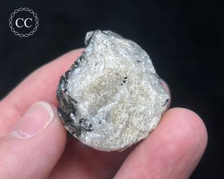 Schorl - Dravite Tourmaline in Quartz #11