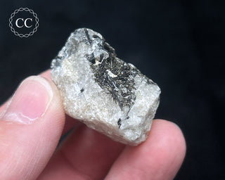 Schorl - Dravite Tourmaline in Quartz #11