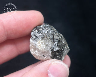 Schorl - Dravite Tourmaline in Quartz #11