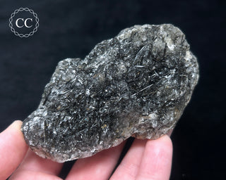 Schorl - Dravite Tourmaline in Quartz #2