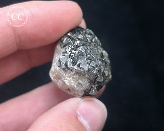 Schorl - Dravite Tourmaline in Quartz #11