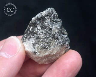 Schorl - Dravite Tourmaline in Quartz #11