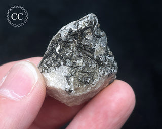 Schorl - Dravite Tourmaline in Quartz #11