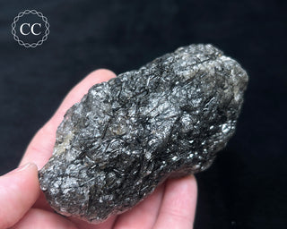 Schorl - Dravite Tourmaline in Quartz #2