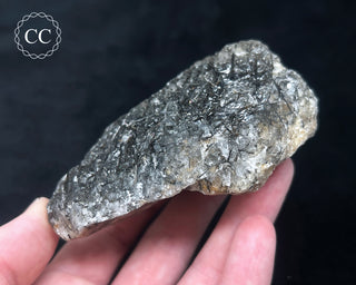 Schorl - Dravite Tourmaline in Quartz #2