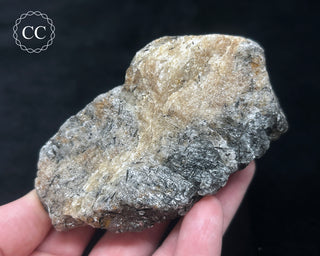 Schorl - Dravite Tourmaline in Quartz #2