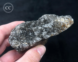 Schorl - Dravite Tourmaline in Quartz #2