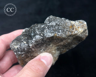 Schorl - Dravite Tourmaline in Quartz #2