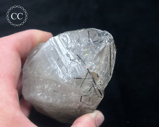 Schorl - Dravite Tourmaline in Quartz #1
