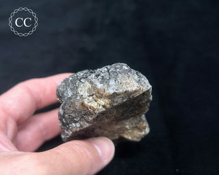 Schorl - Dravite Tourmaline in Quartz #2