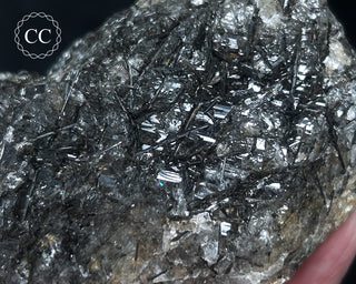 Schorl - Dravite Tourmaline in Quartz #2