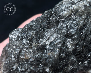 Schorl - Dravite Tourmaline in Quartz #2