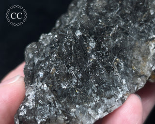 Schorl - Dravite Tourmaline in Quartz #2