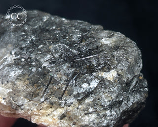 Schorl - Dravite Tourmaline in Quartz #2