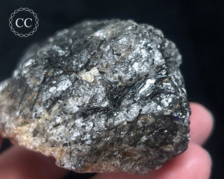 Schorl - Dravite Tourmaline in Quartz #2