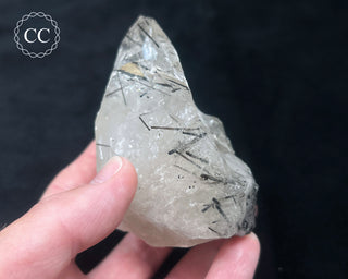 Schorl - Dravite Tourmaline in Quartz #1