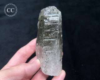 Schorl - Dravite Tourmaline in Quartz #3