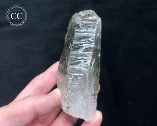 Schorl - Dravite Tourmaline in Quartz #3