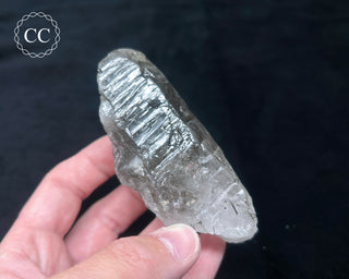 Schorl - Dravite Tourmaline in Quartz #3