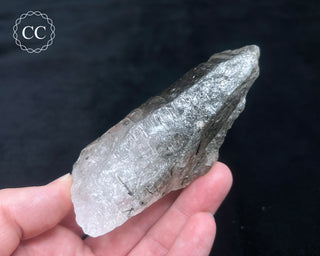 Schorl - Dravite Tourmaline in Quartz #3