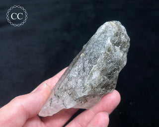 Schorl - Dravite Tourmaline in Quartz #3
