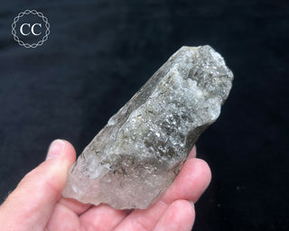 Schorl - Dravite Tourmaline in Quartz #3