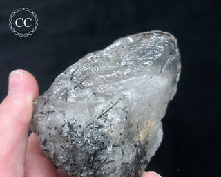 Schorl - Dravite Tourmaline in Quartz #1