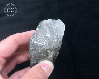 Schorl - Dravite Tourmaline in Quartz #3