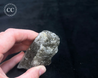 Schorl - Dravite Tourmaline in Quartz #3