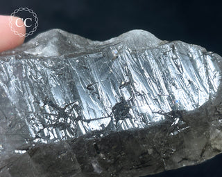 Schorl - Dravite Tourmaline in Quartz #3