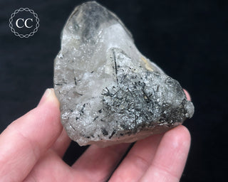 Schorl - Dravite Tourmaline in Quartz #1