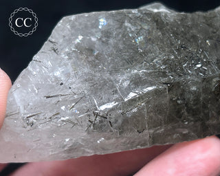 Schorl - Dravite Tourmaline in Quartz #3