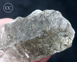 Schorl - Dravite Tourmaline in Quartz #3