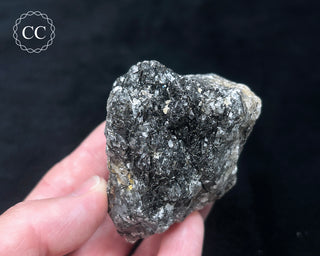 Schorl - Dravite Tourmaline in Quartz #4