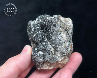 Schorl - Dravite Tourmaline in Quartz #4