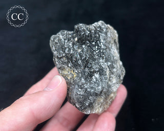 Schorl - Dravite Tourmaline in Quartz #4