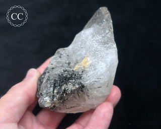 Schorl - Dravite Tourmaline in Quartz #1