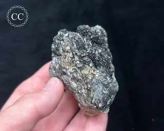 Schorl - Dravite Tourmaline in Quartz #4