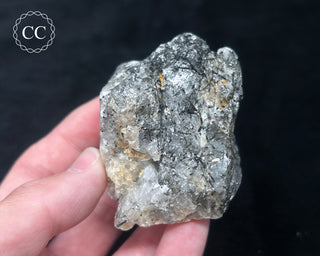 Schorl - Dravite Tourmaline in Quartz #4