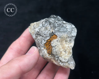 Schorl - Dravite Tourmaline in Quartz #4