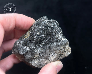 Schorl - Dravite Tourmaline in Quartz #4