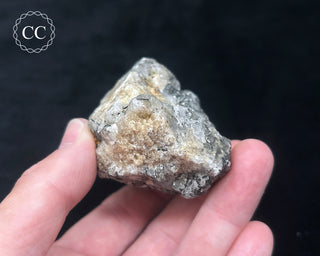 Schorl - Dravite Tourmaline in Quartz #4