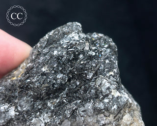 Schorl - Dravite Tourmaline in Quartz #4