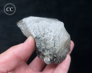 Schorl - Dravite Tourmaline in Quartz #1
