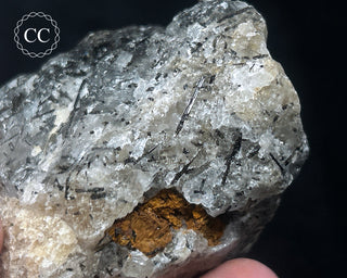 Schorl - Dravite Tourmaline in Quartz #4