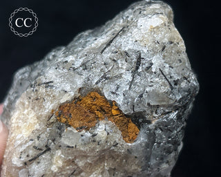 Schorl - Dravite Tourmaline in Quartz #4