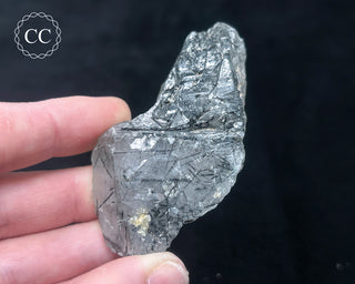 Schorl - Dravite Tourmaline in Quartz #5