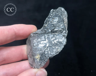 Schorl - Dravite Tourmaline in Quartz #5